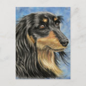 Carte Postale Marcus - Long Haired Dachshund Art (Devant)