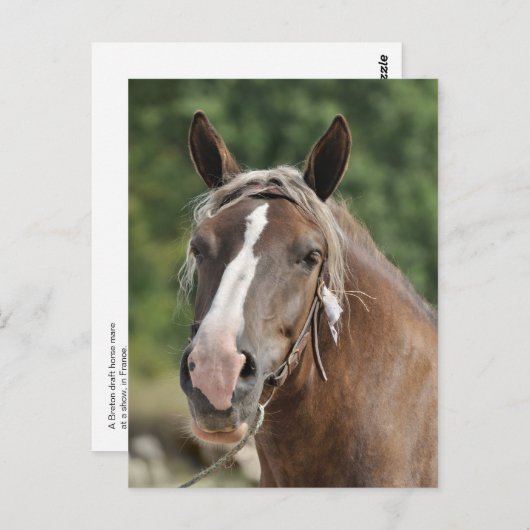 Carte Postale Mare à breton (Devant / Derrière)