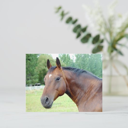 Carte Postale Mare de châtaignier (Debout devant)