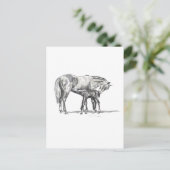 Carte Postale Mare et poulain (Debout devant)