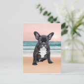 Carte Postale Mare French Bulldog Beach Eau Soleil (Debout devant)