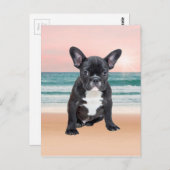 Carte Postale Mare French Bulldog Beach Eau Soleil (Devant / Derrière)