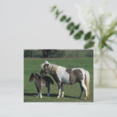 Carte Postale Mare miniature et pied de poulain (Debout devant)