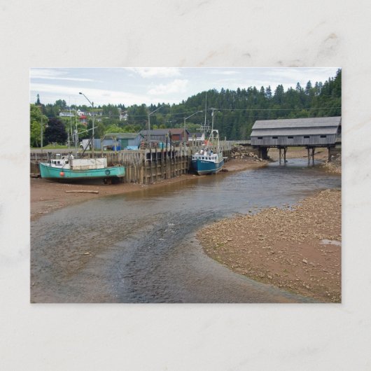 Carte Postale Marée basse dans la baie de Fundy à St. Martins, N (Devant)