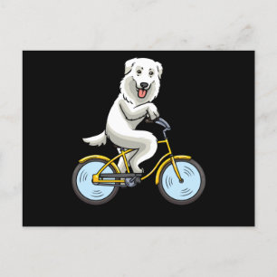 Carte Postale Maremmano Abruzzes Cheepdog Chien vélo Cycliste