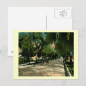 Carte Postale Marengo Ave., Pasadena, Californie Vintage (Devant / Derrière)