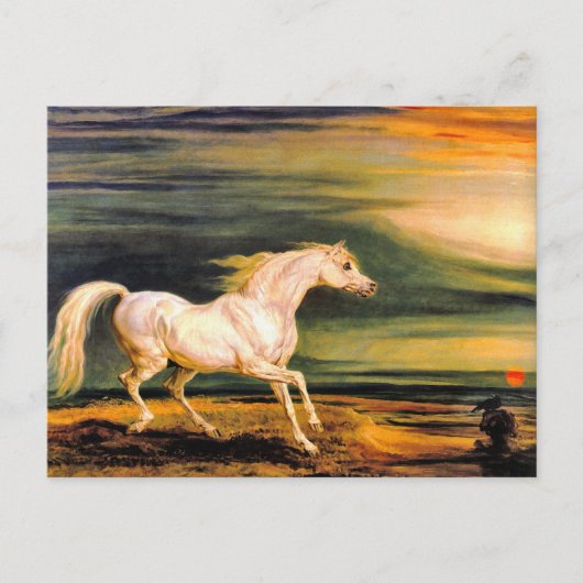 Carte postale : Marengo de Napoléon (Devant)