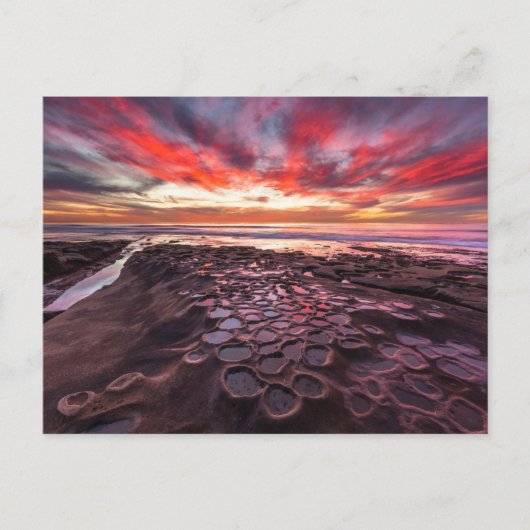 Carte Postale Mares résiduelles à La Jolla, Californie (Devant)