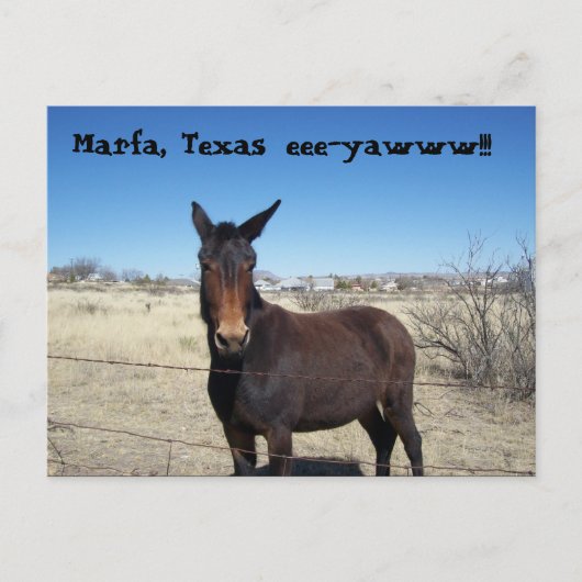 Carte Postale Marfa, Texas, l'oeil ! ! ! (Devant)
