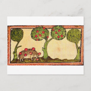 Carte Postale Marginalia Hedgehog