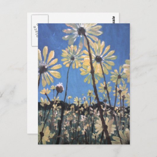 Carte Postale marguerite (Devant / Derrière)