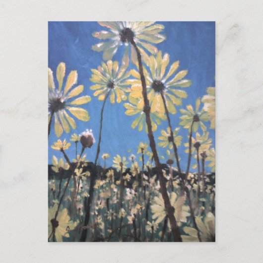 Carte Postale marguerite (Devant)