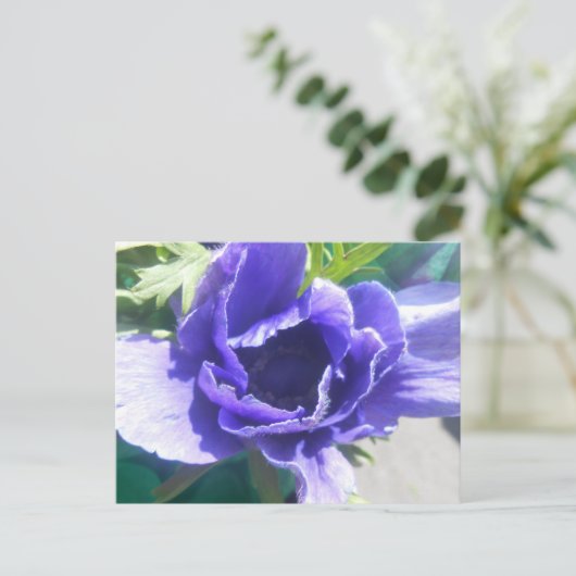 Carte Postale Marguerite (Debout devant)