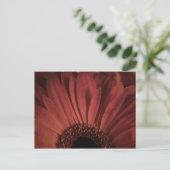 Carte Postale marguerite Abstraite (Debout devant)