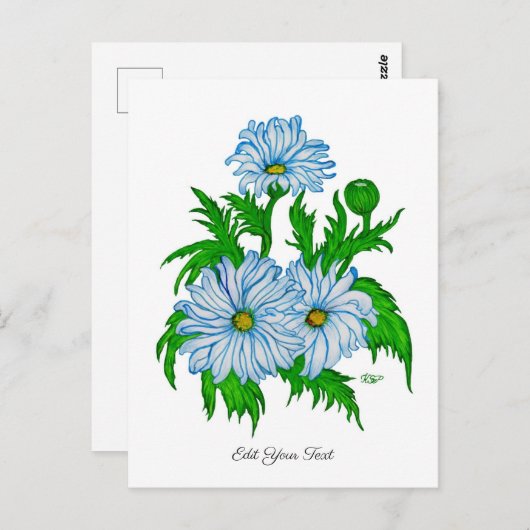 Carte Postale Marguerite, Fleurs marguerites en style rétro (Devant / Derrière)