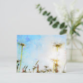 Carte Postale Marguerite - - Impression acrylique (Debout devant)