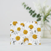 Carte Postale Marguerites (Debout devant)