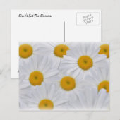 Carte Postale Marguerites 6 (Devant / Derrière)