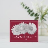 Carte Postale Marguerites de Gerbera Fond Rouge Merci (Debout devant)