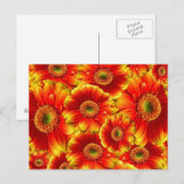 Carte Postale Marguerites de Gerbera jaune et orange (Devant / Derrière)