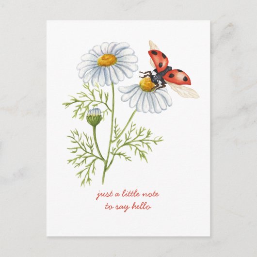 Carte Postale Marguerites et coccinelle en pensant à vous (Devant)