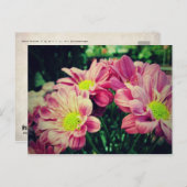 Carte Postale Marguerites Rétro II (Devant / Derrière)