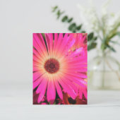 Carte Postale Marguerites Rose Clair (Debout devant)