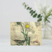 Carte Postale marguerites vintages (Debout devant)