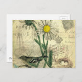 Carte Postale marguerites vintages (Devant / Derrière)