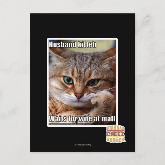 Carte Postale Mari Kitteh (Devant)