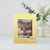 Carte Postale Mari Kitteh (Debout devant)