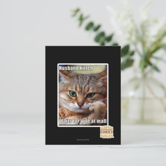 Carte Postale Mari Kitteh (Debout devant)