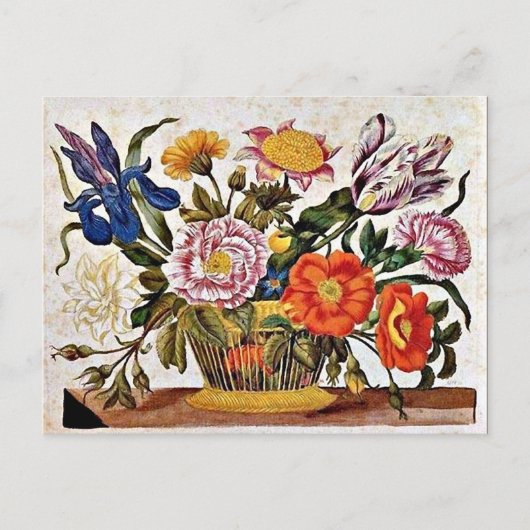 Carte Postale Maria Sibylla Merian - De der Raupen Wunderbare (Devant)
