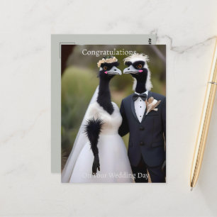 Carte Postale Mariage australien australien Emus, Mariage