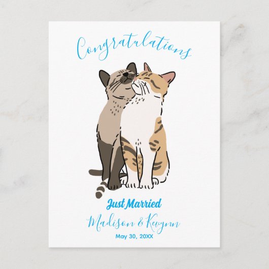 Carte Postale Mariage de Chats Mignons (Devant)