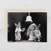 Carte Postale Mariage de Chatte (Devant / Derrière)