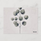 Carte Postale Mariage de feuilles d'eucalyptus Art de feuilles S (Dos)