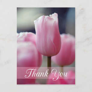 Carte Postale Mariage de fleur de tulipe rose printanier