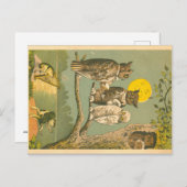 Carte Postale Mariage de la Chouette de Victoria (Devant / Derrière)