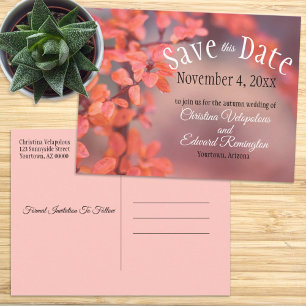 Carte Postale Mariage Enregistrer La Date Automne Laisser Bokeh 