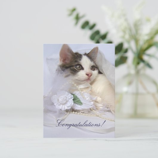 Carte postale mariage Kitten (Debout devant)