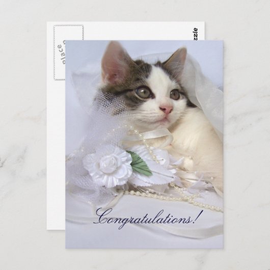 Carte postale mariage Kitten (Devant / Derrière)