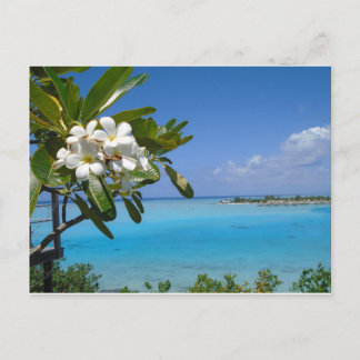 Carte Postale Mariage plage Ocean Tahiti Fleurs