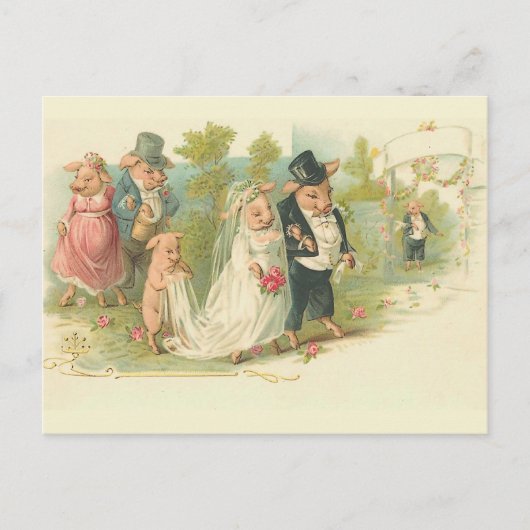 Carte Postale Mariage vintage de porcs (Devant)