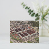 Carte postale Mariage Warner Brothers Carte Escort (Debout devant)