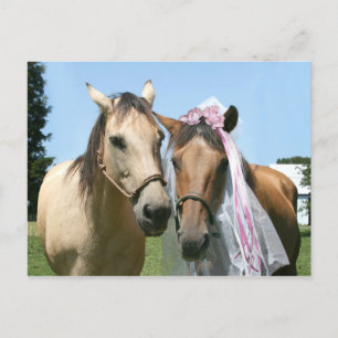 Carte Postale Mariée et marié équin