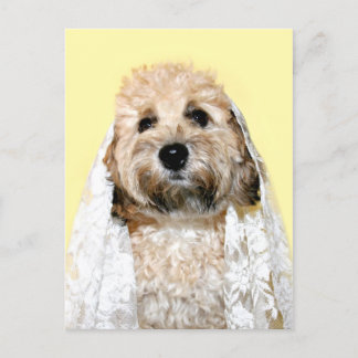 Carte Postale Mariée ou femme de ménage