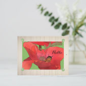 Carte Postale Marienkäfer im Mohn (Debout devant)