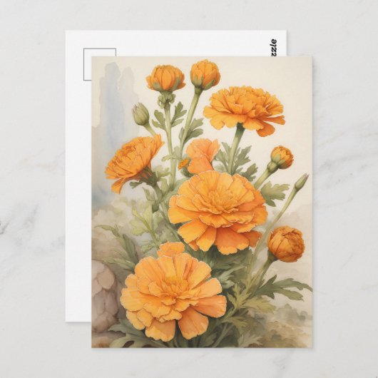 Carte Postale Marigold (Devant / Derrière)