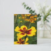 Carte postale Marigold Flowers (Debout devant)